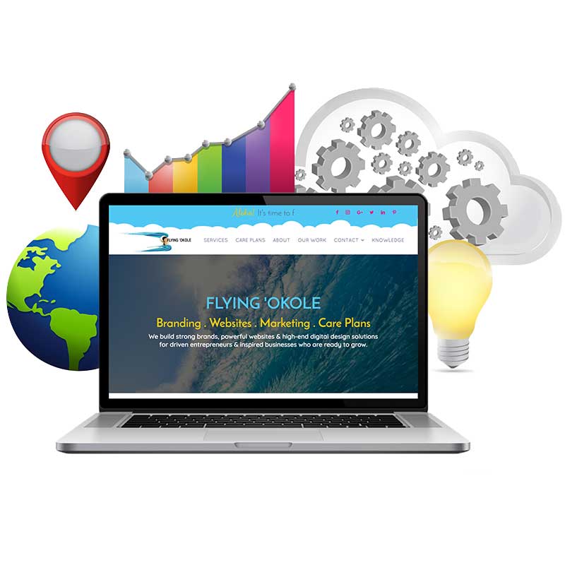 FLYING 'OKOLE Maintenance and Reports image on the WordPress Website Care Plans page.